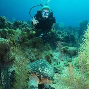 Meet your Posher, Kim